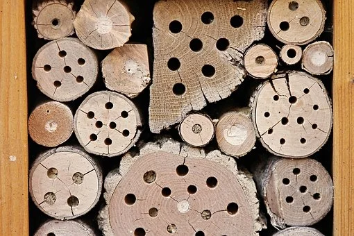 insect-hotel-2643713__340.jpg