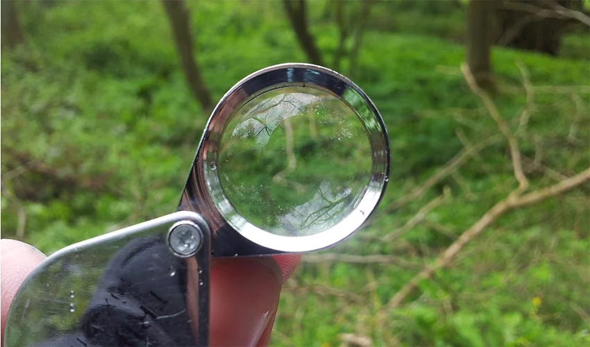 How-to-Use-a-Hand-Lens-main.jpg
