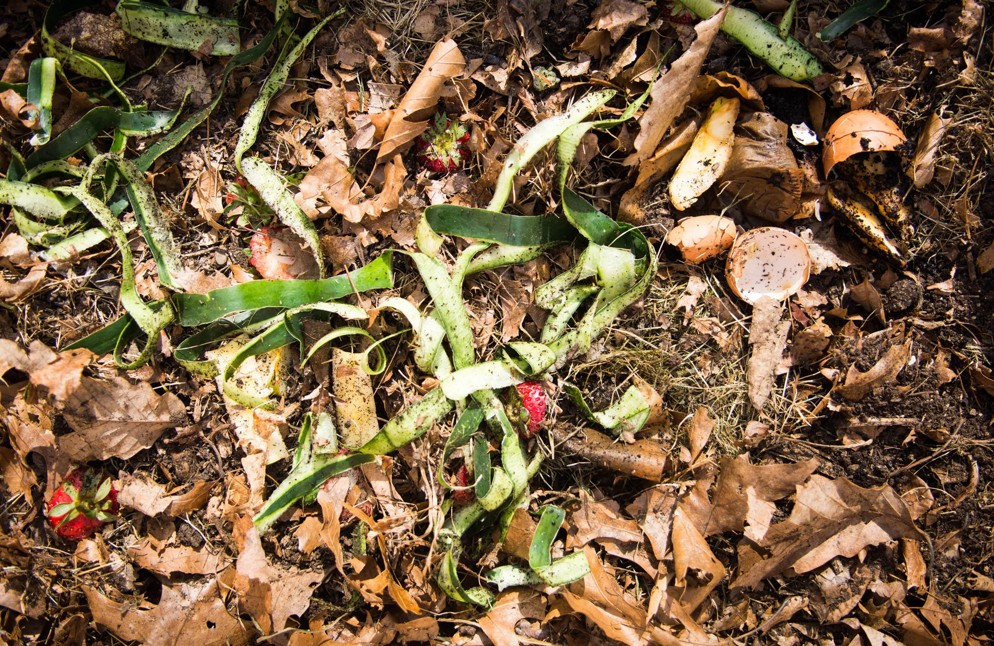 homesteading-starting-a-compost-pile-2_01.jpg