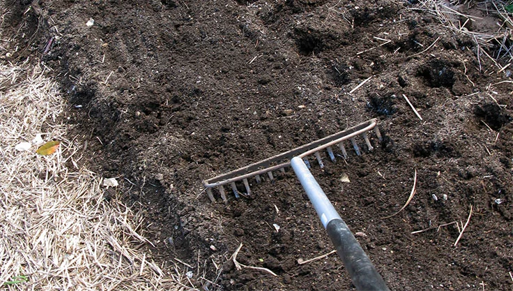 5060-raking-soil.jpg