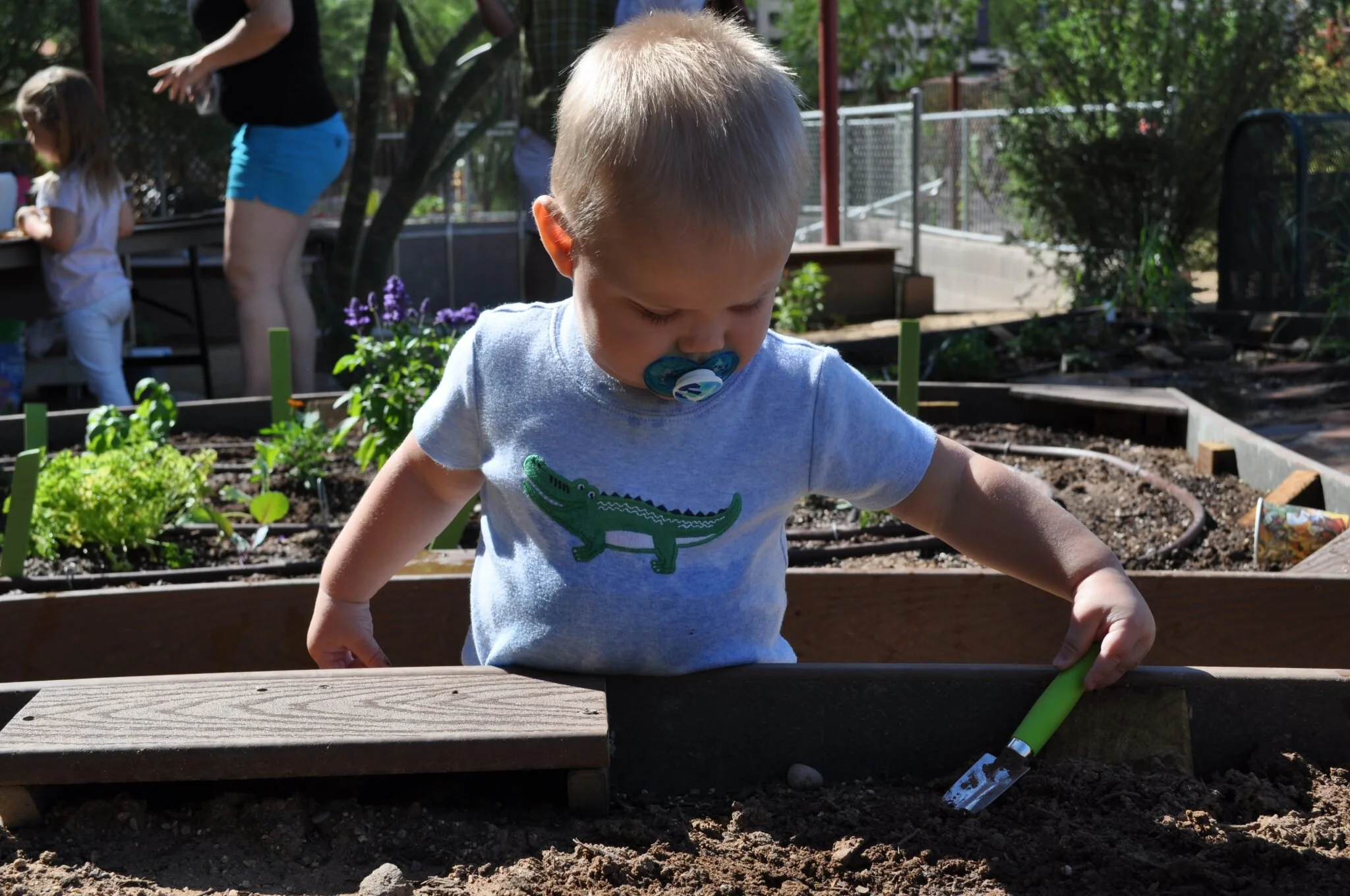 Upcoming Events — Spadefoot Nursery