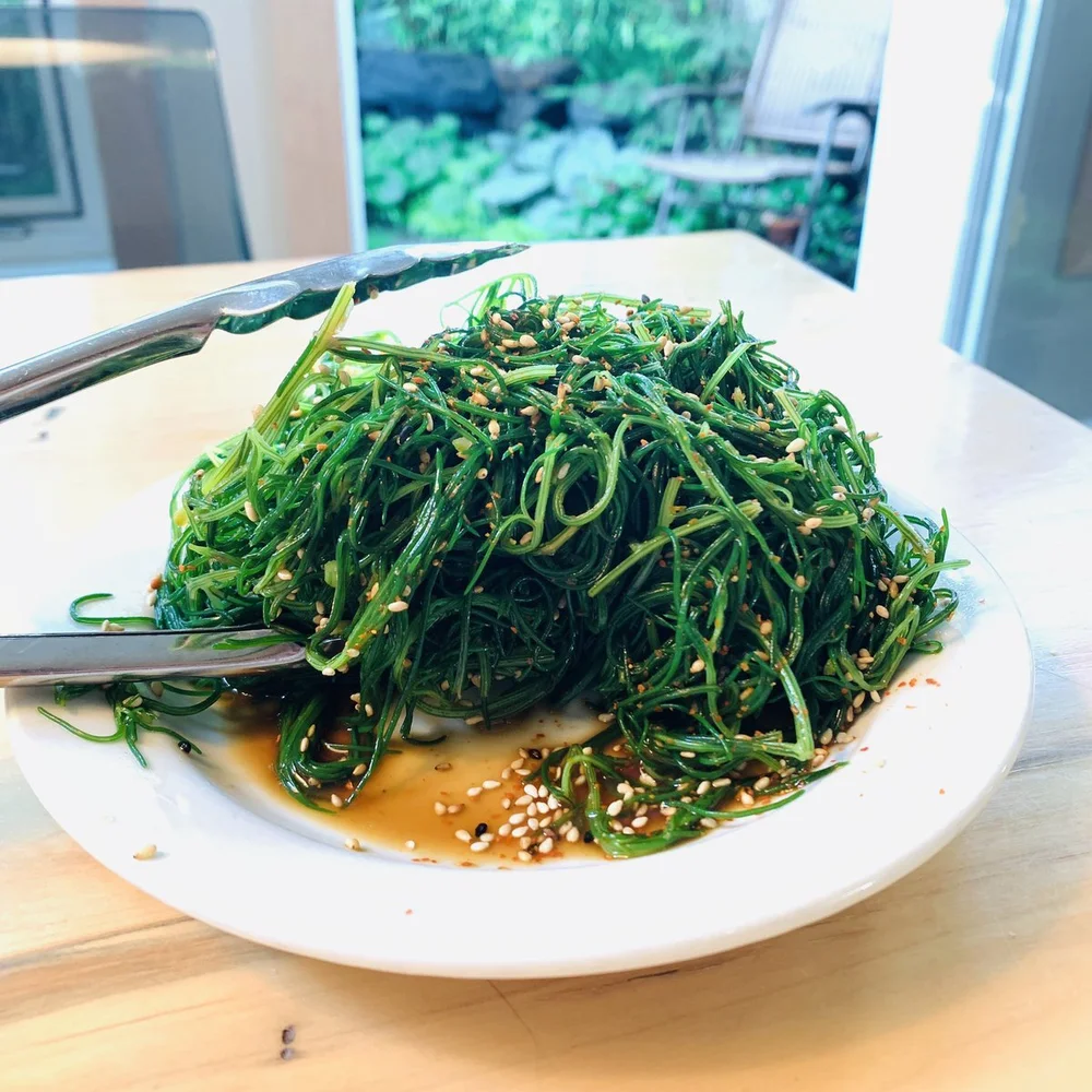 Agretti Oka Hijiki And The Common Tumbleweed Spadefoot Nursery