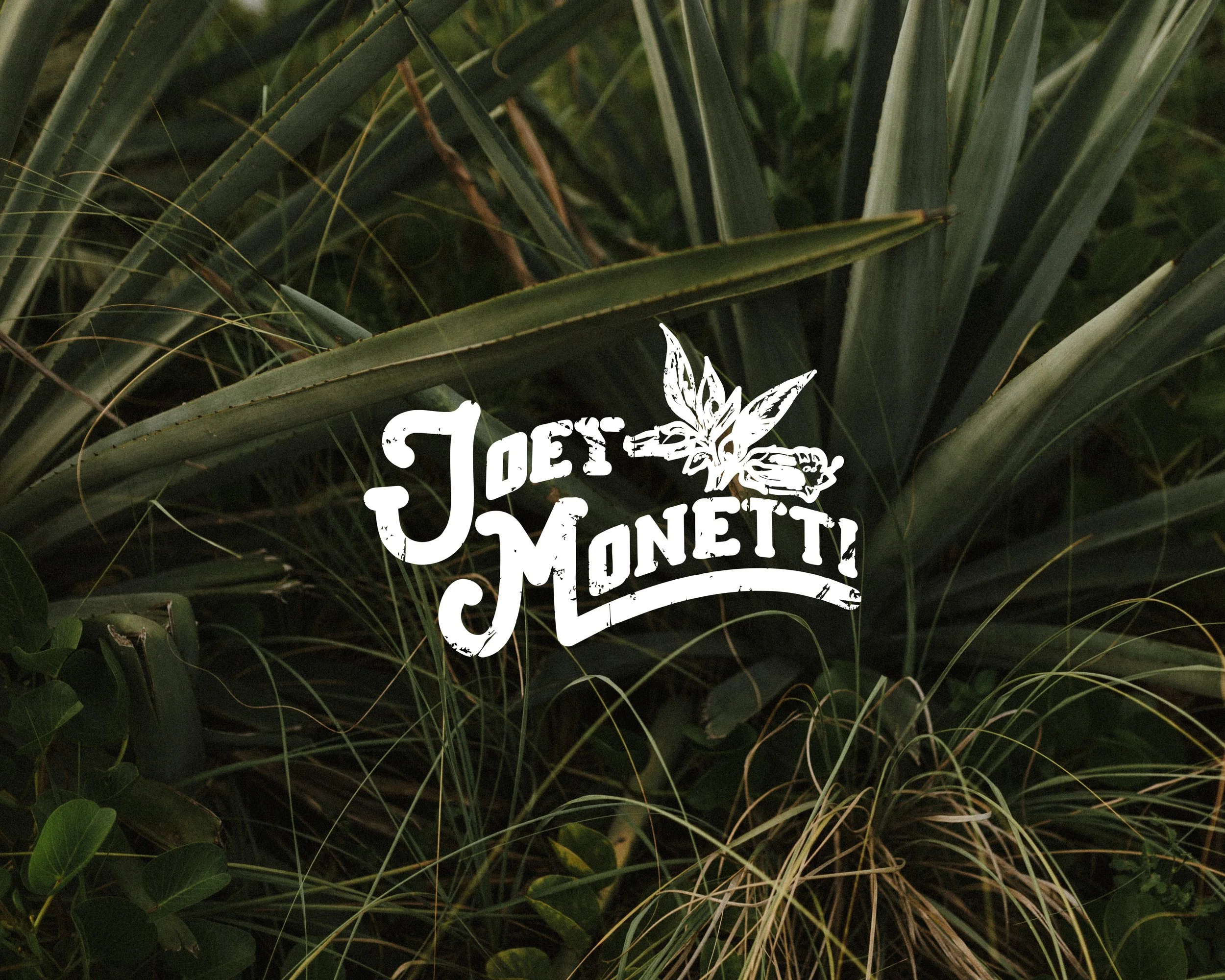 web landing copy.jpg