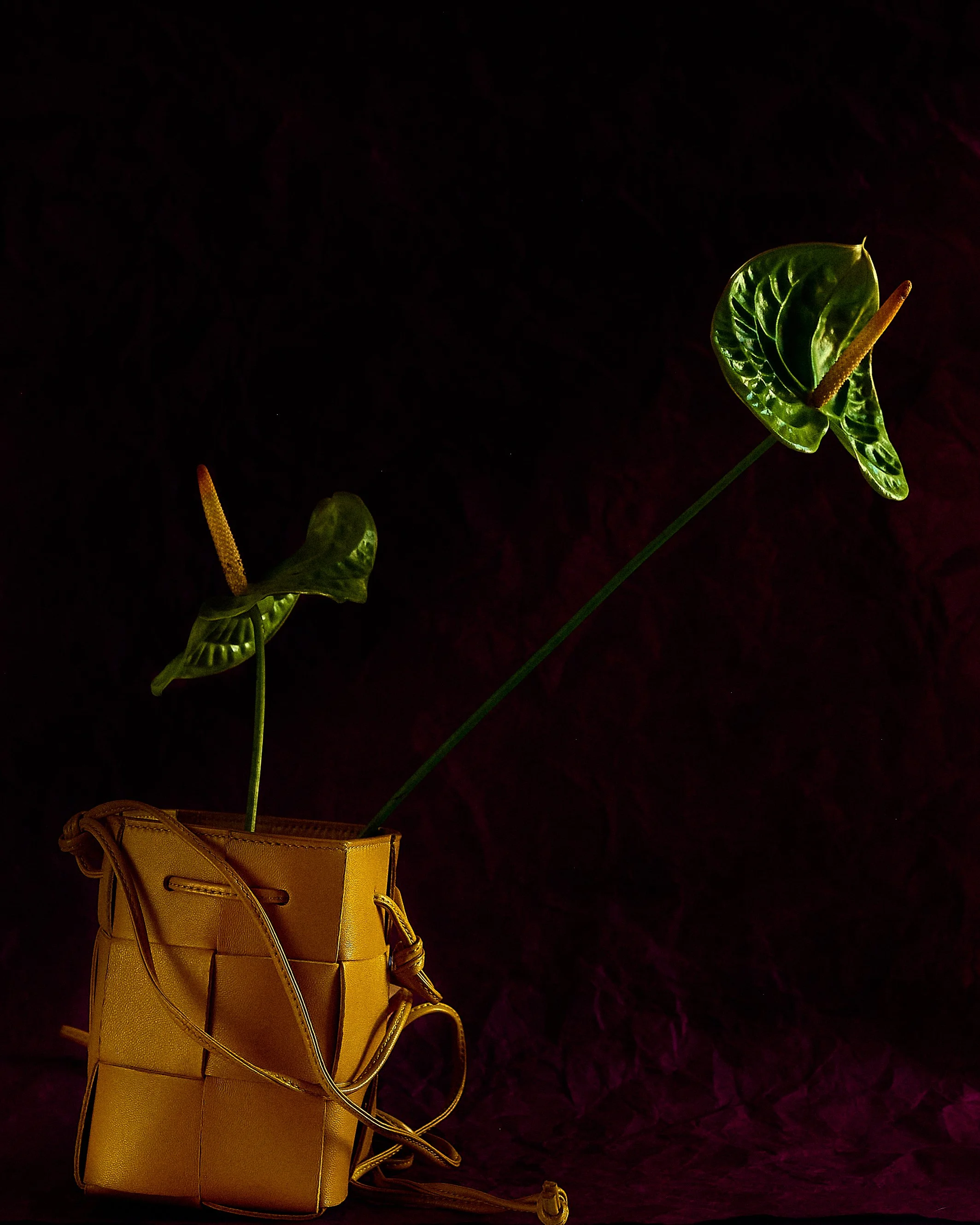 yellowbottega-001.jpg