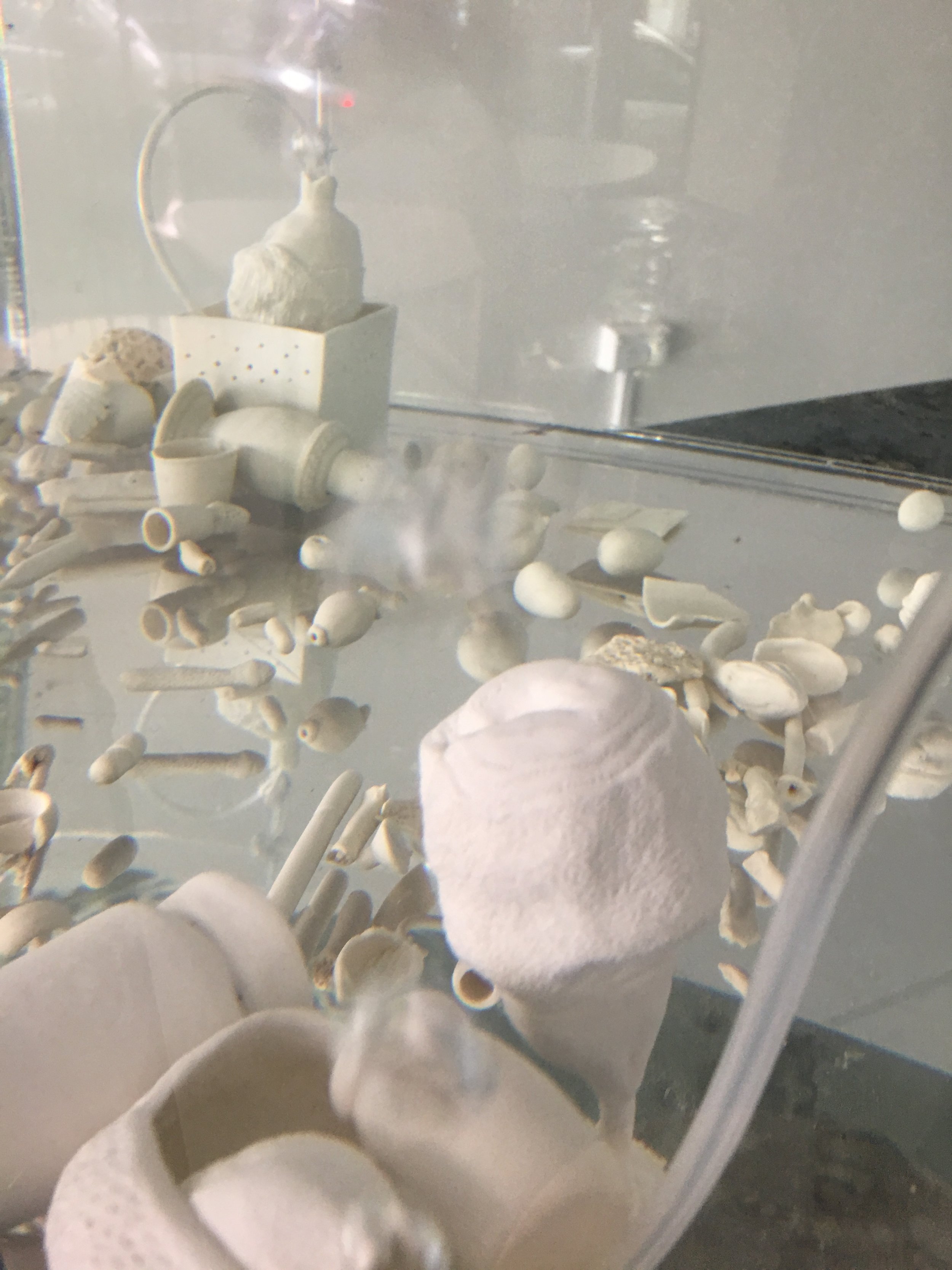 Carol Hudson  Intertidal Aquarium II  2018 (Detail) Porcelain, water, air pumps, silicon tubing and acrylic box. 60 x 60 x 60 cm. 