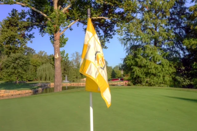 Flag Pic Highlighted Hole 3   2016.jpg