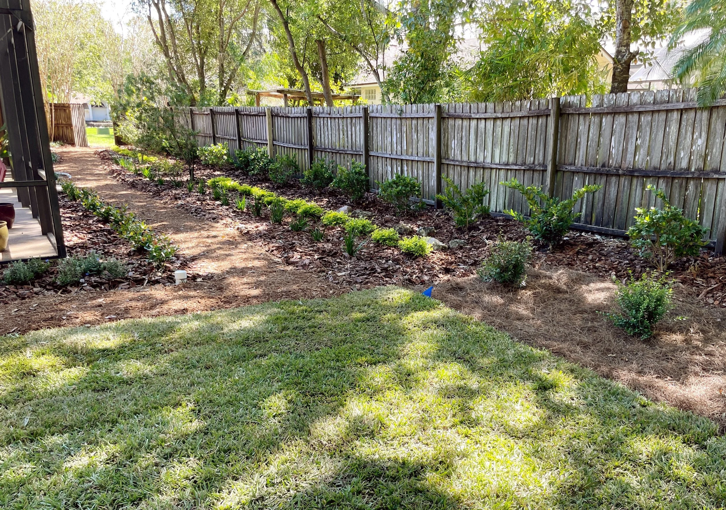 Low maintenance backyard landscape