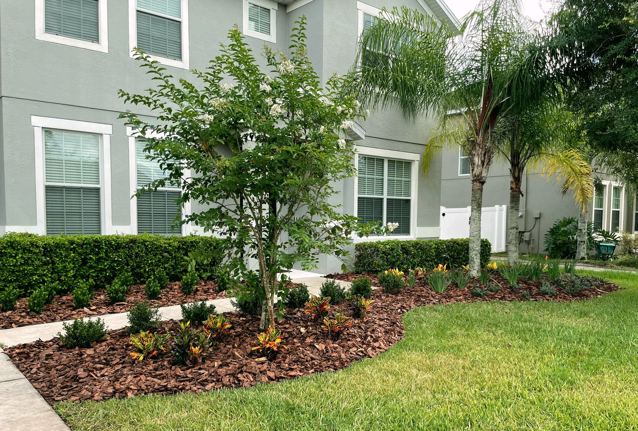 Low maintenance front yard landscape