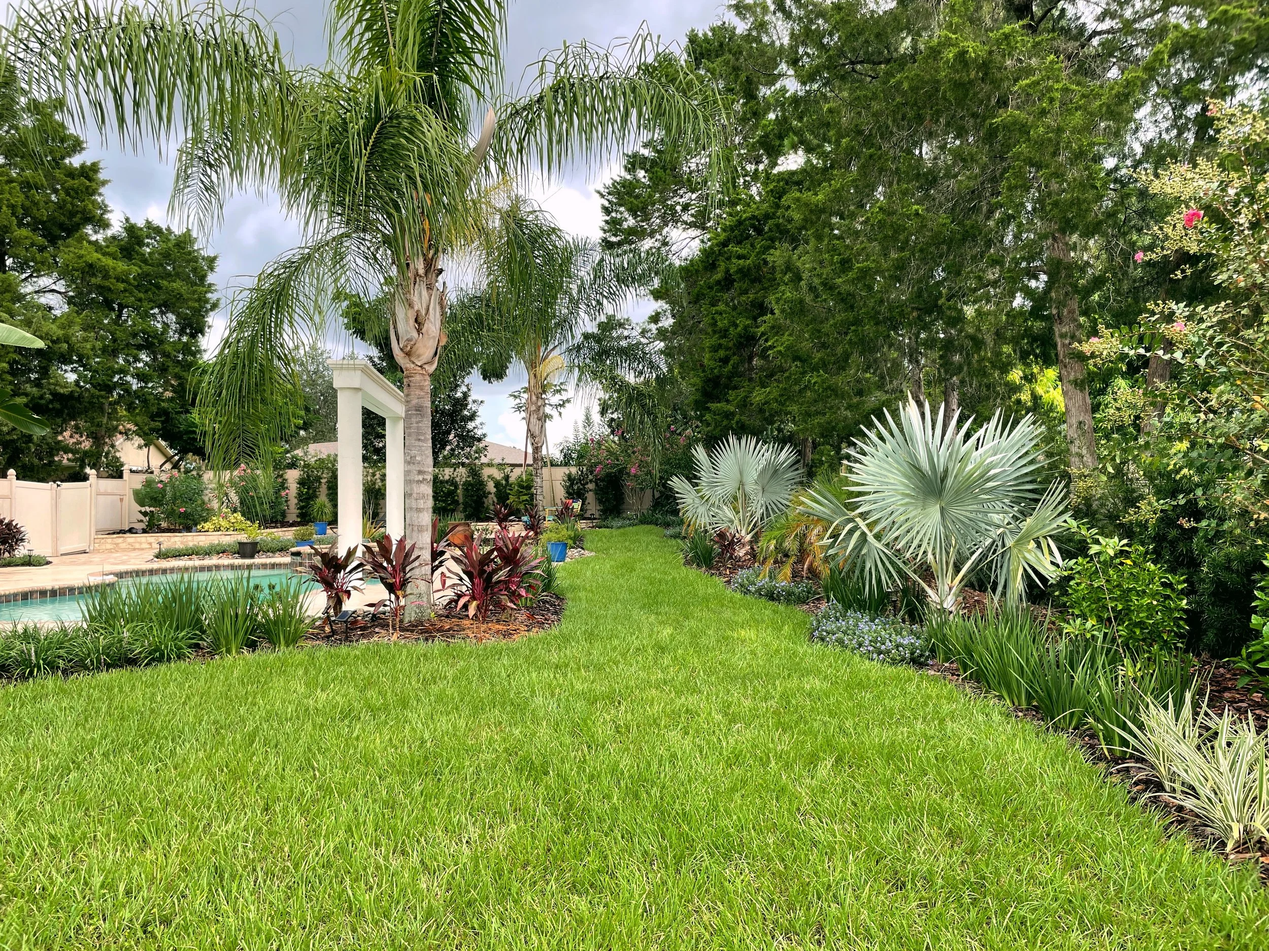 Low maintenance backyard lawn