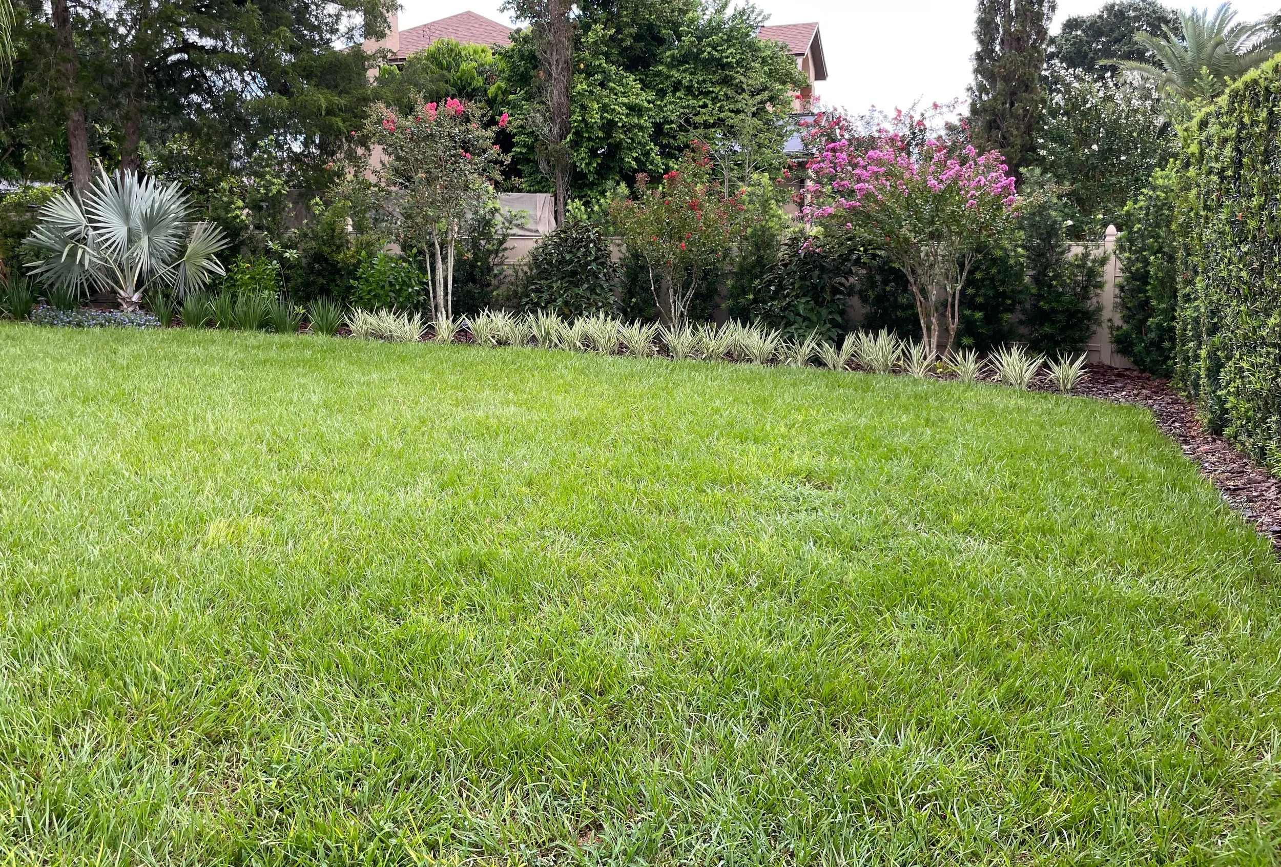 Backyard landscape design and installation project