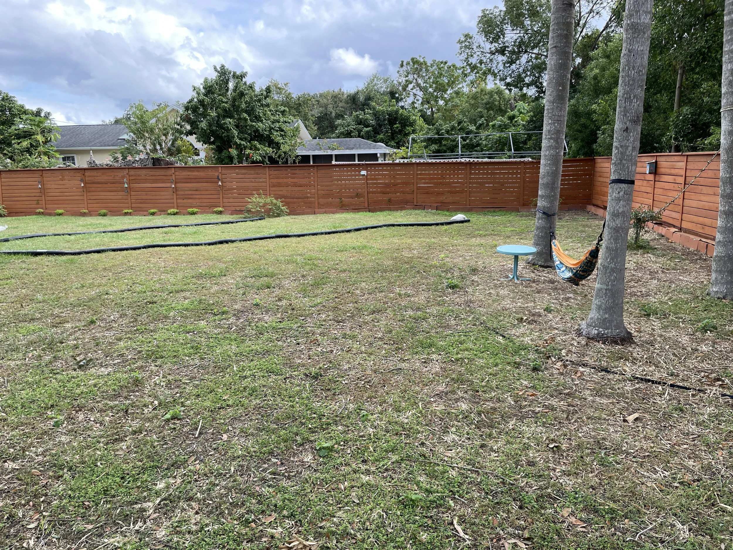 landscape drainage issue in an orlando backyard.JPG