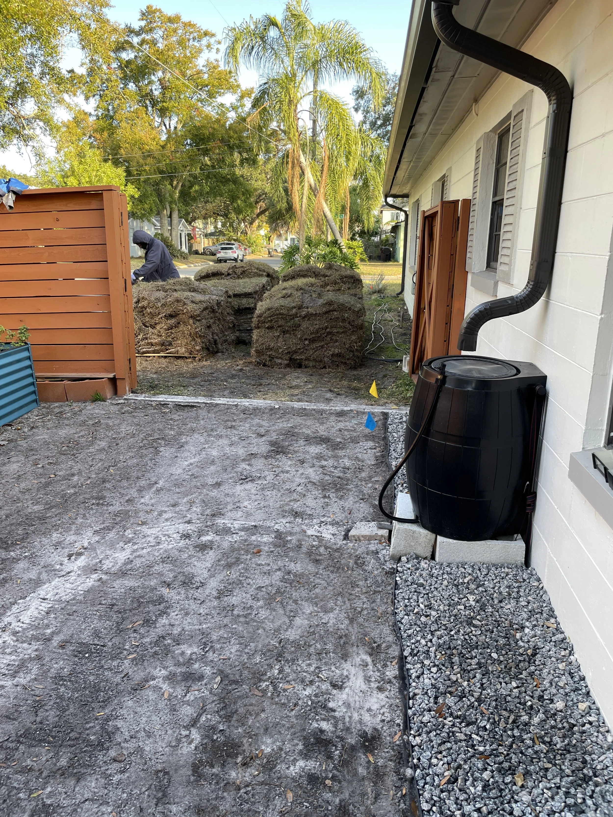 backyard landscape design project sod installation during a landscaping project in Orlando Winter Park Fl Earthwise Horticultural.JPG