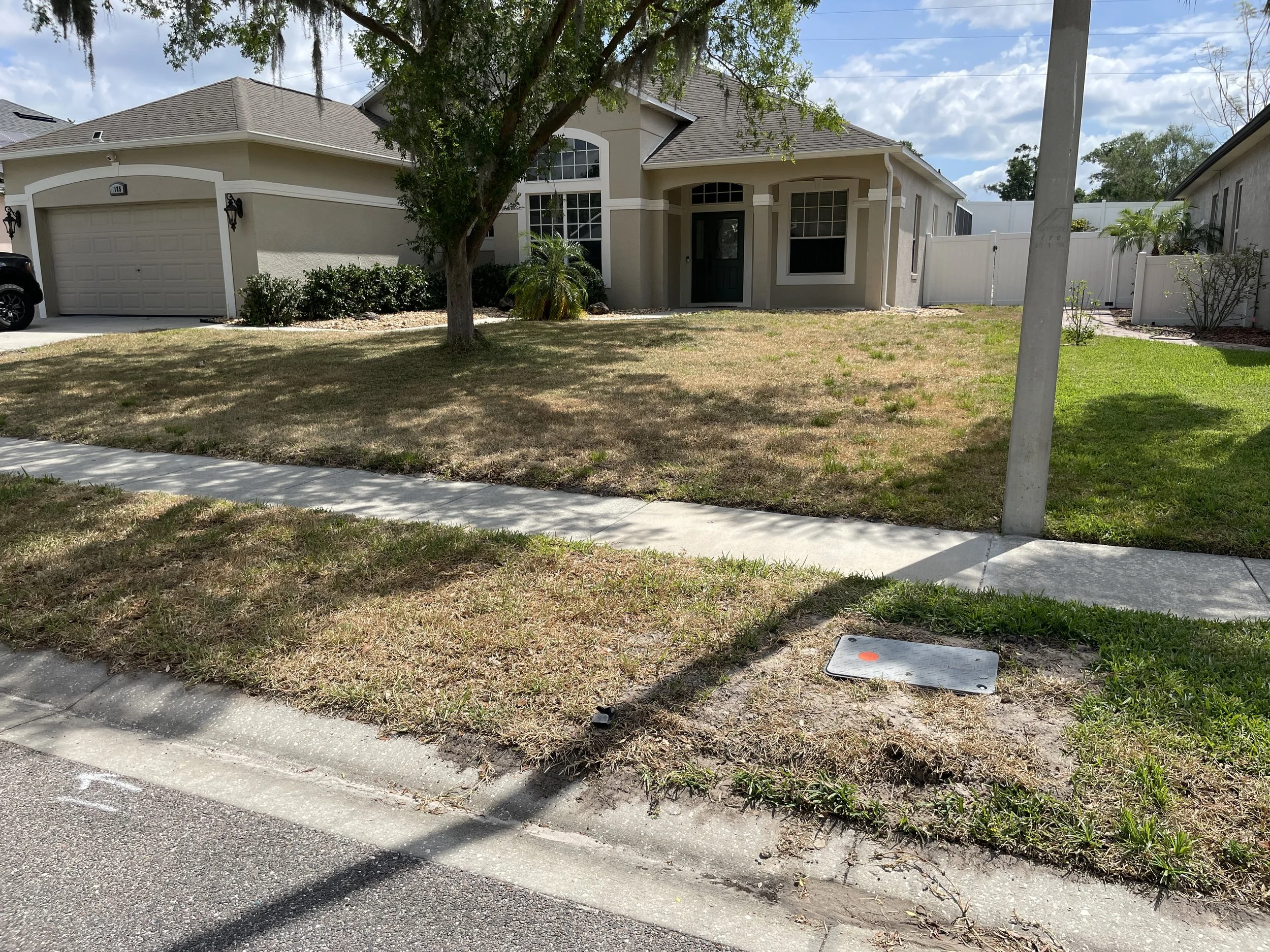 landscape design project before picture front yard.JPG