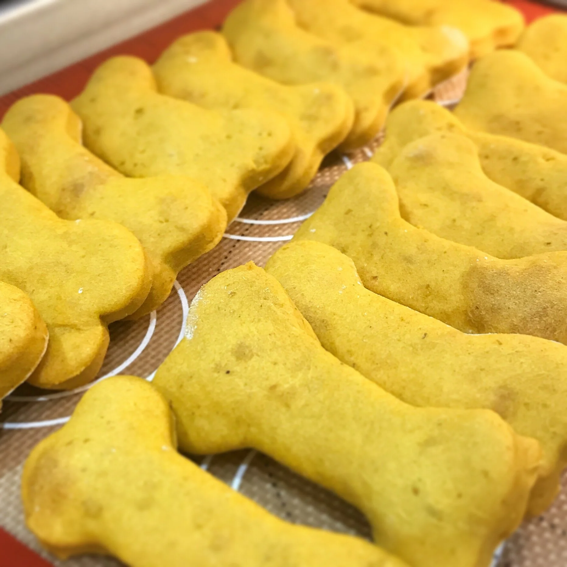 Homemade Dog Treats for Holiday Gift Giving 12.18.2021