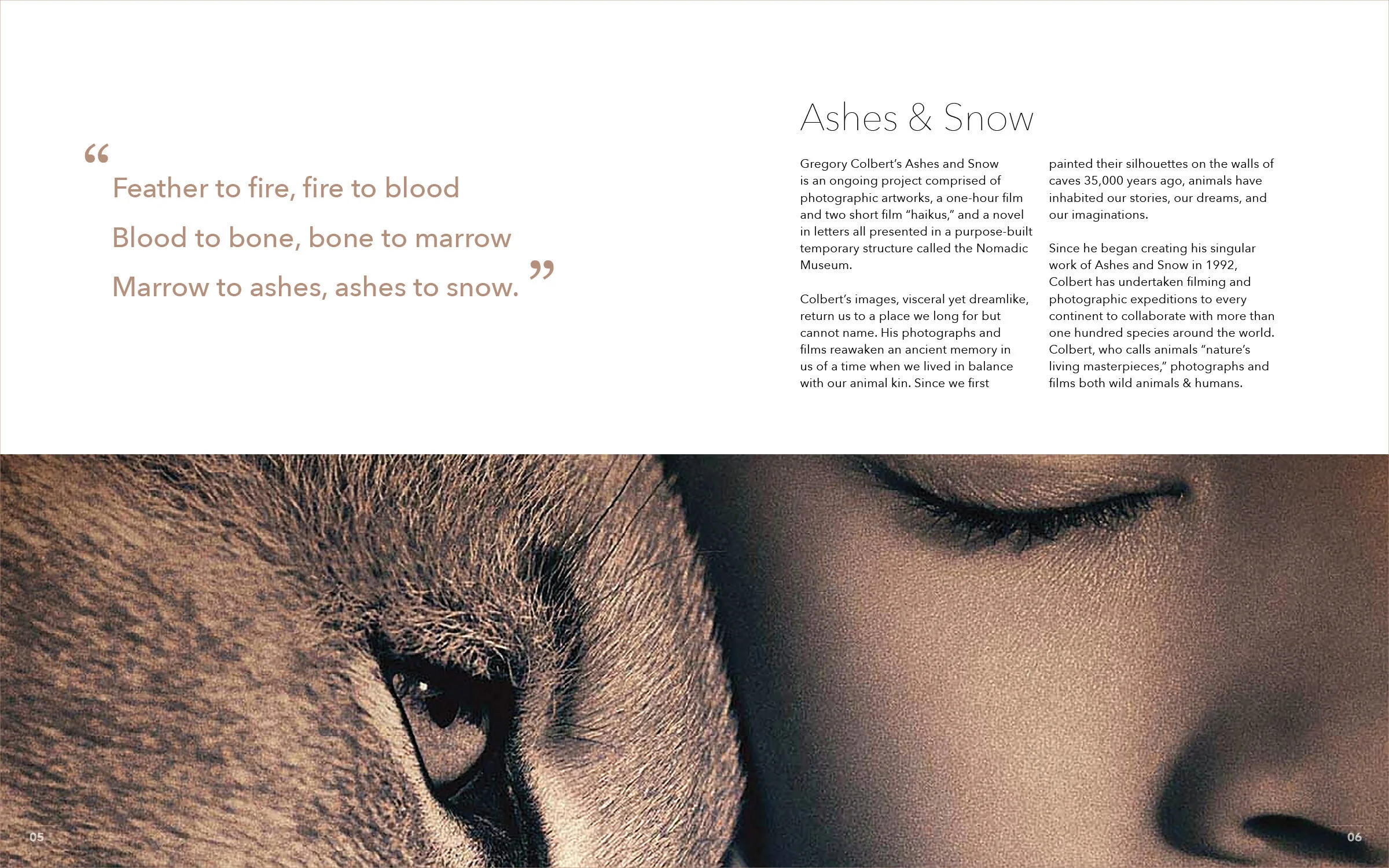 final type_portfolioedit4.jpg