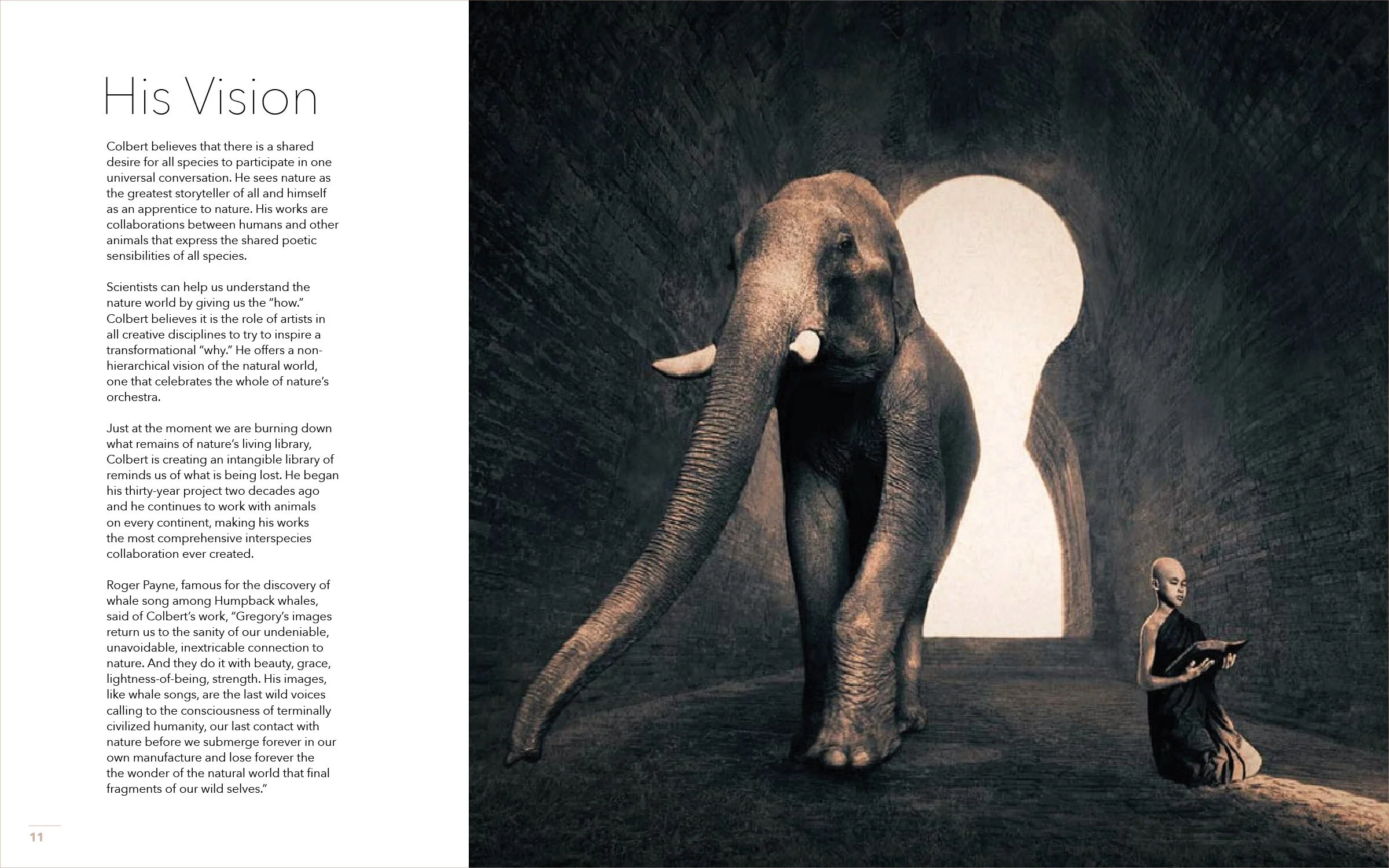 final type_portfolioedit7.jpg