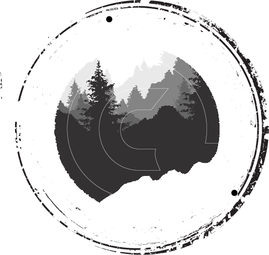 TROY_NEW_LOGO.png