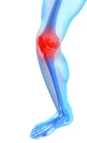 knee.jpg