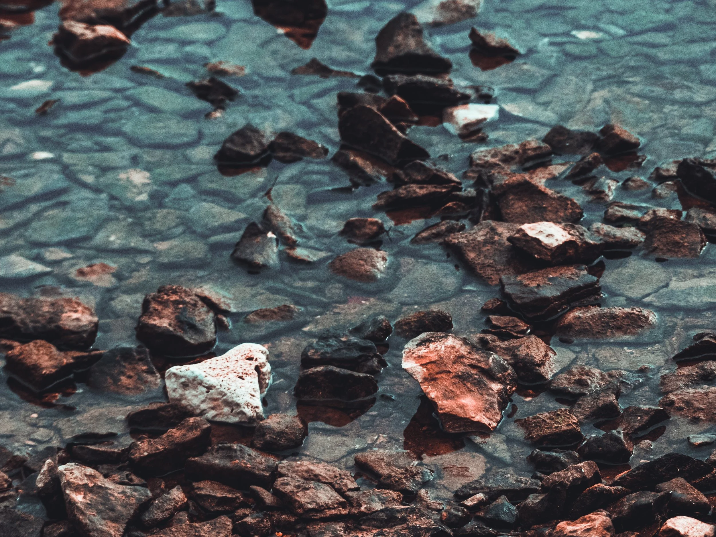 david-boca-rf3IPuCfYls-unsplash.jpg