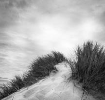 DUNES