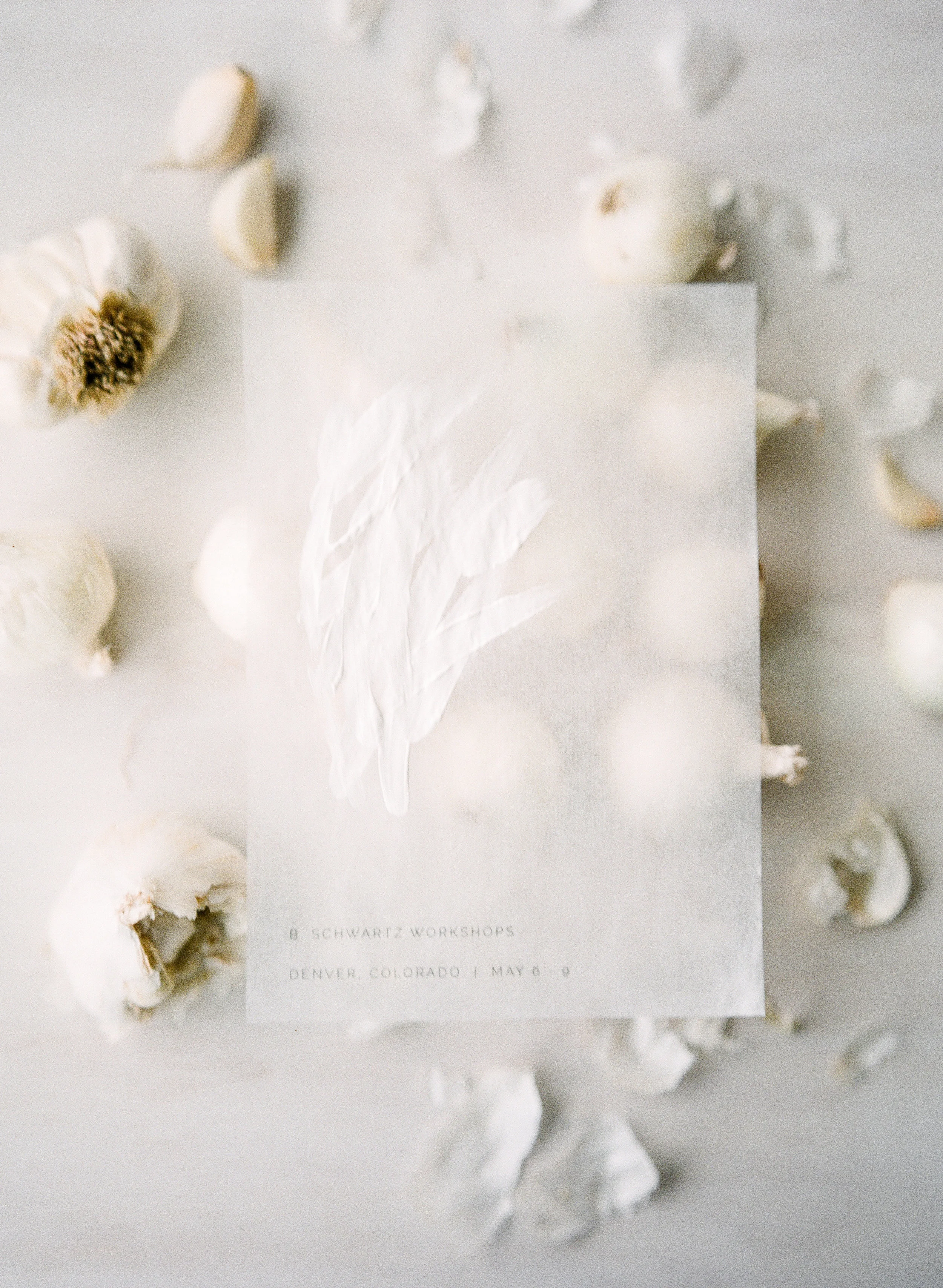 Minimal-Organic--Wholistic-Brand-Workshop-Promotional-Shoot143.jpg