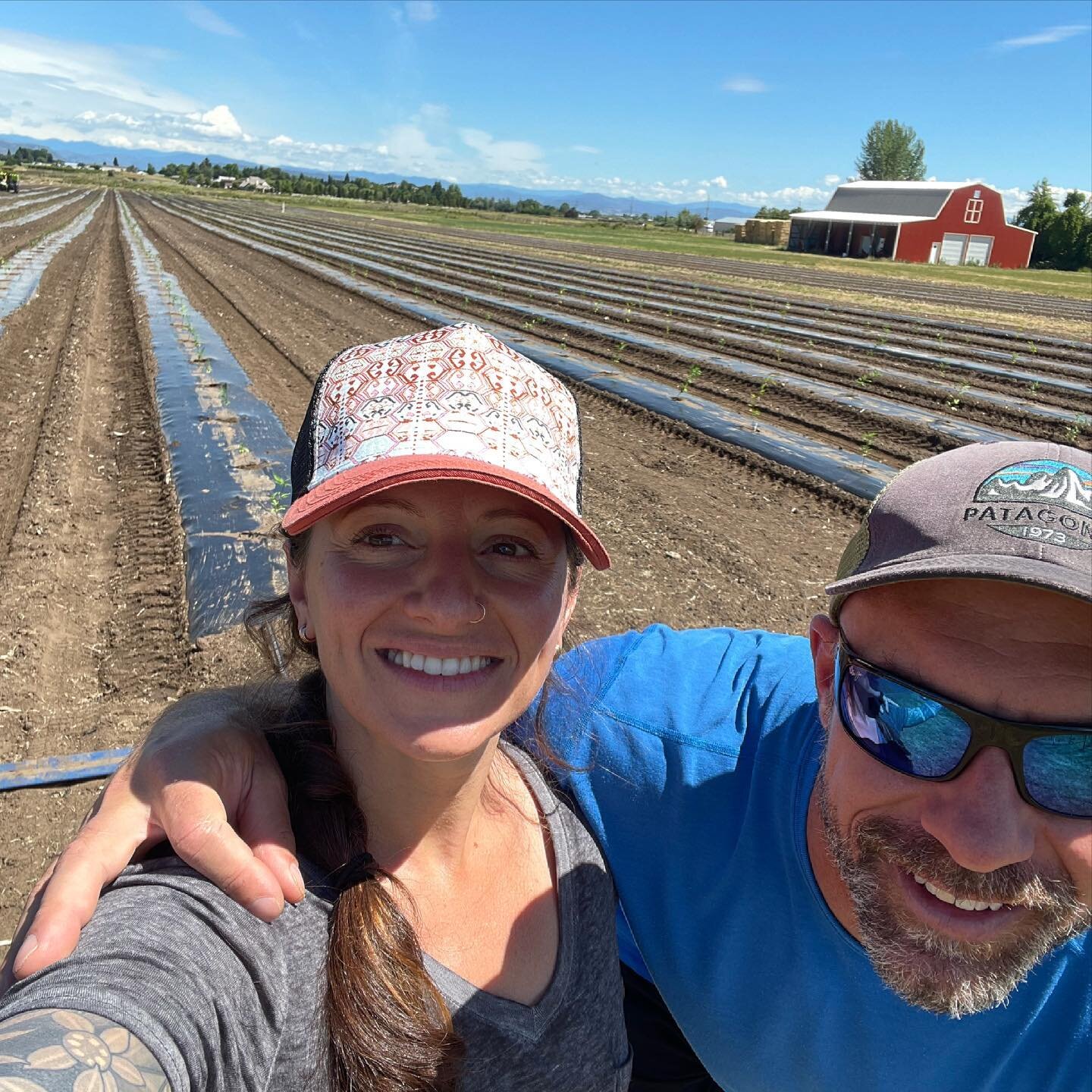 Big time NERDing out because we get to see our own genetics growing in Medford Oregon, Rogue Valley, in a vineyard 🤤 that is also a lavender farm &hellip; this is going to take our already amazing strains and their terpene profiles to the next level