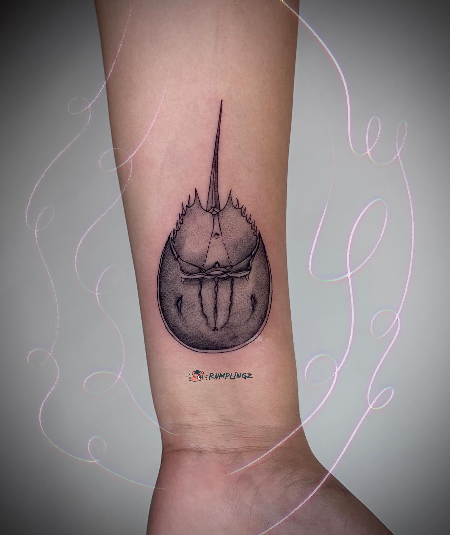 Horseshoe crab 🦀 
💗DM to book any customs💗
.
.
.
.
.
.
.
.
.
.
.
#sanjosetattoos #sanjosetattooartist #horseshoecrab #horseshoecrabtattoo #marinetattoo #blackworktattoo #blackandgreytattoo #3rlonly #crabtattoo