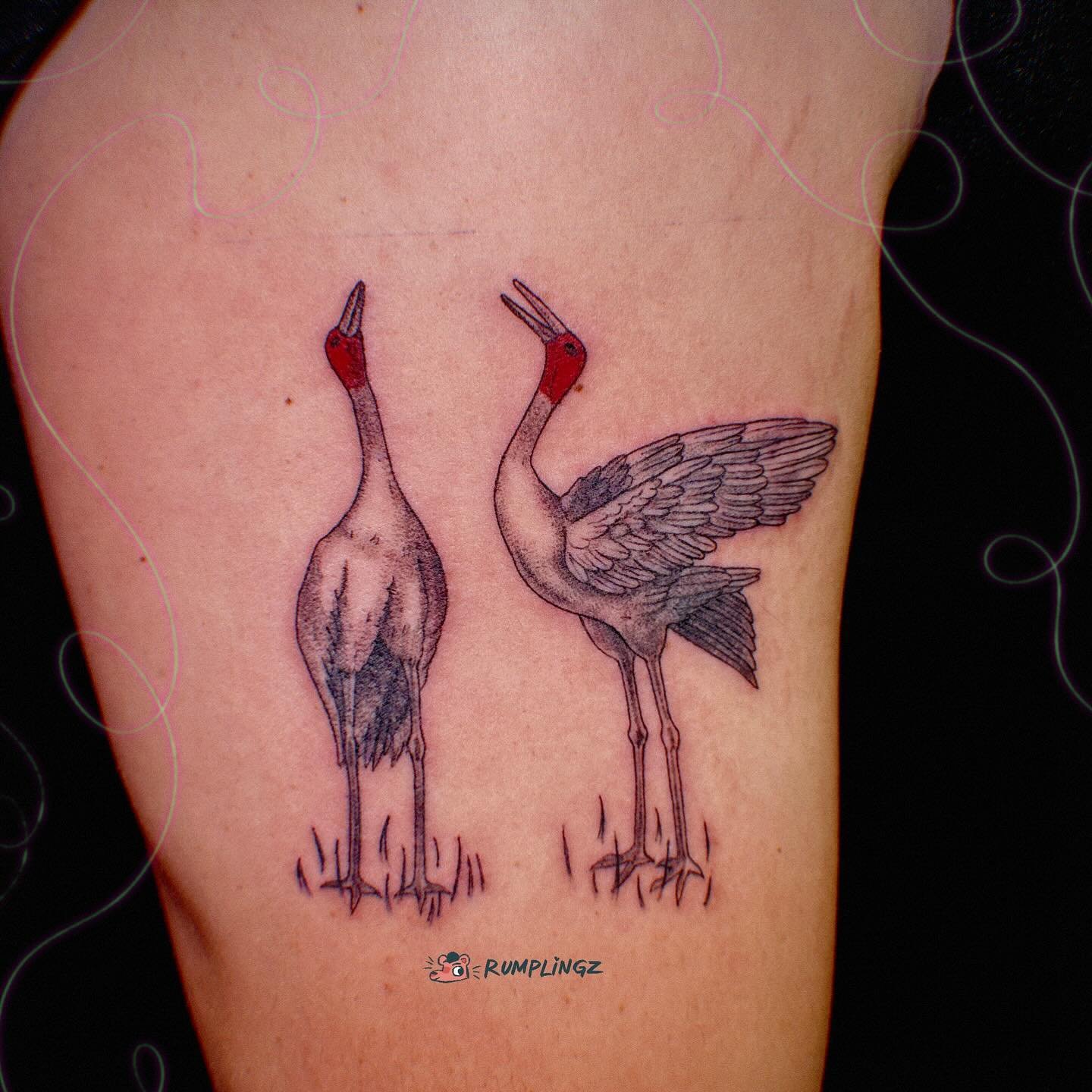 Cranes for Khoi 🐦&zwj;⬛🪿🦩🦤🦉🦃🐓🦢🐥🦜🦅🦆

done at @soso.supermarket !! 

🍄 DM for any customs🍄
.
.
.
.
.
.
.
.
.
.
.
.
.
#cranetattoo #cranespotting #birdtattoo #birdtattoos #animaltattoos #sanjosetattoos #sanjosetattooartist #sftattooartist 