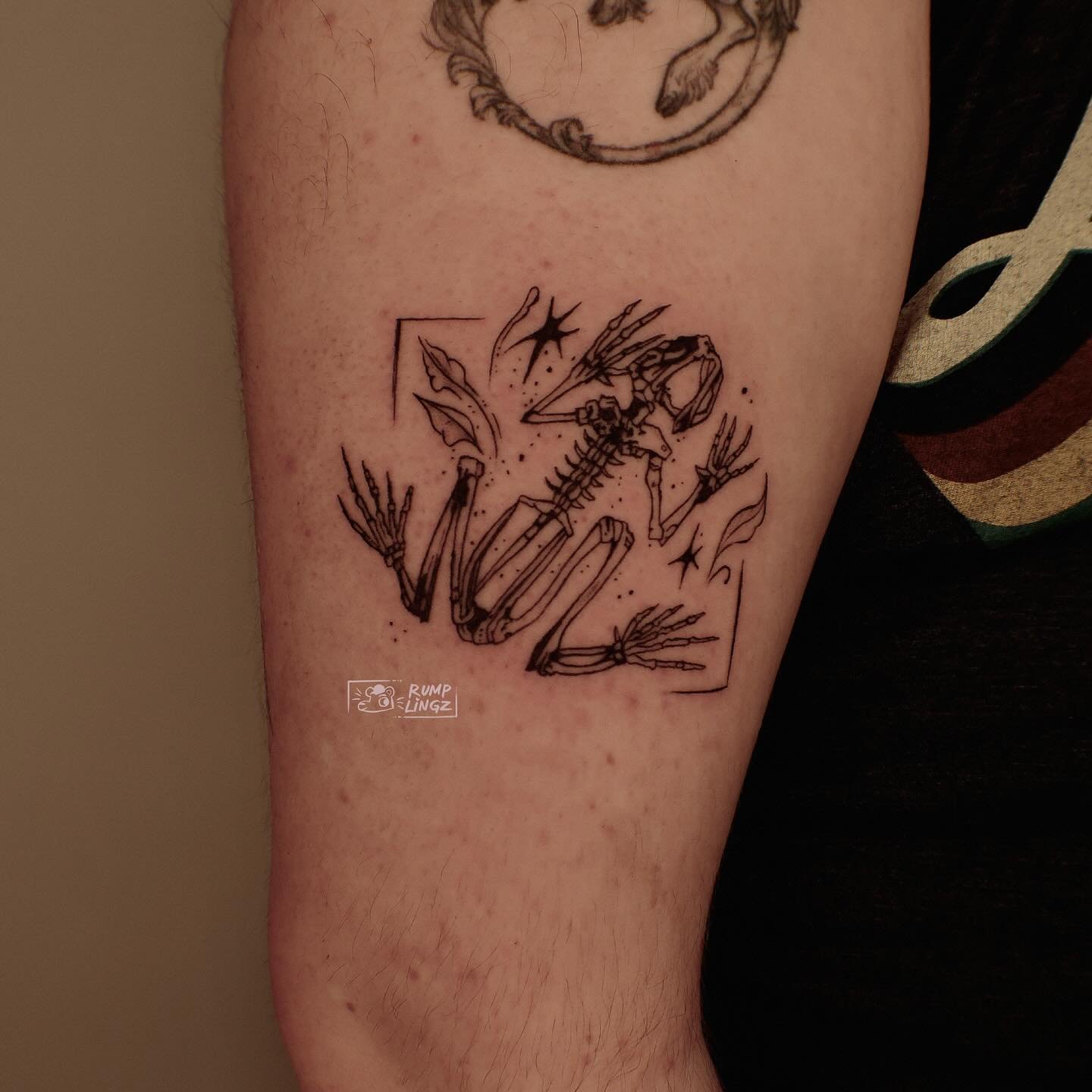 Scientific drawing of a skeleton of a frog from my flash 🐸🩻

Check out my pinned for similar flash 👀
.
.
.
.
.
.
.
.
.
.
#frogtattoo #frogcore #frogtattoos #frogskeleton #frogskeletontattoo #illustrativetattoo #sanjosetattoo #bayareatattoo #aapiar