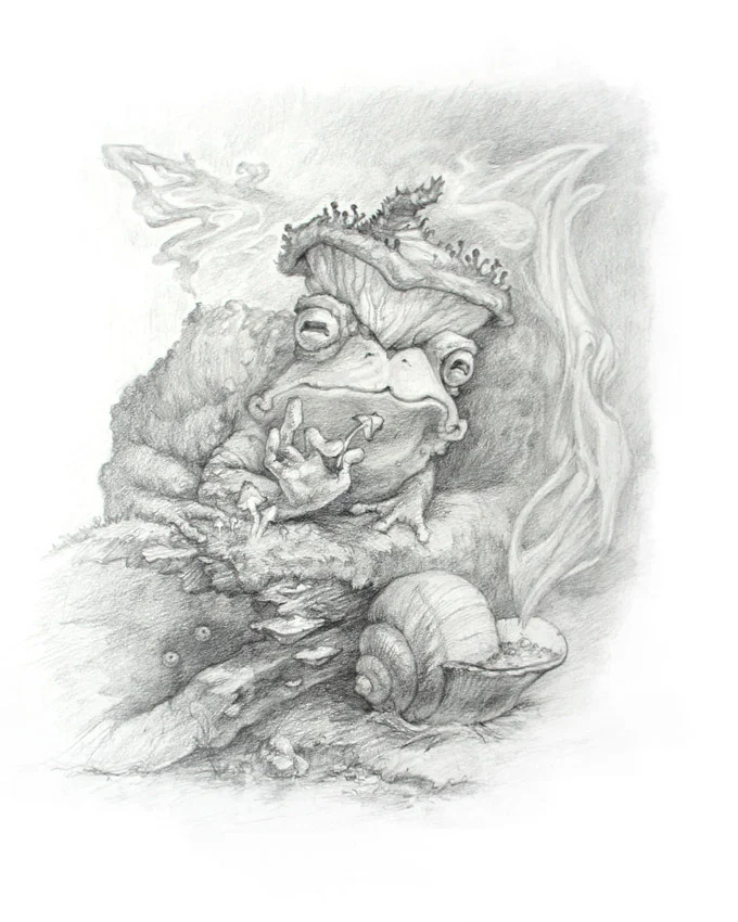 Witch Toad