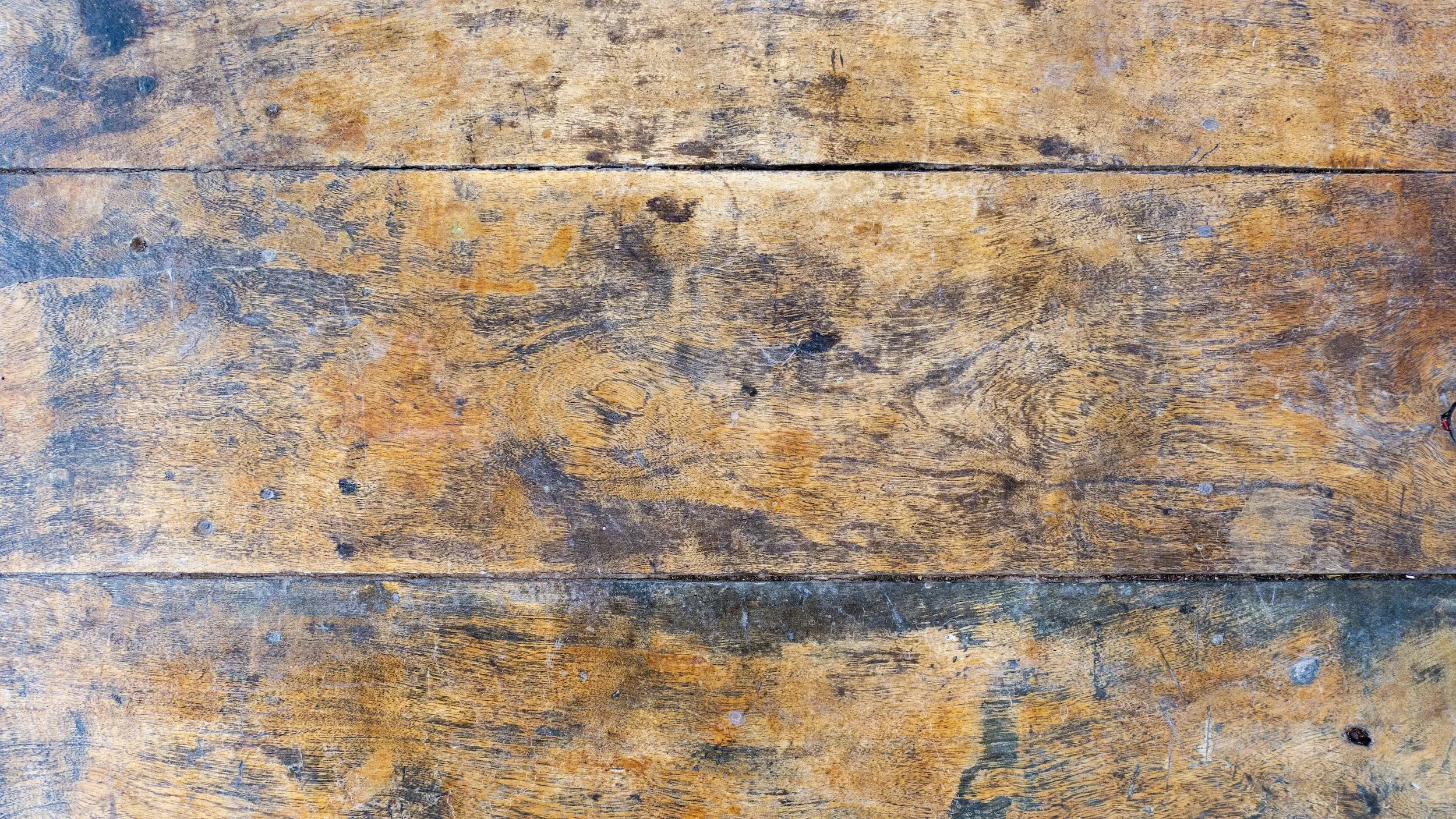 How to Choose the Right Type of Wood 