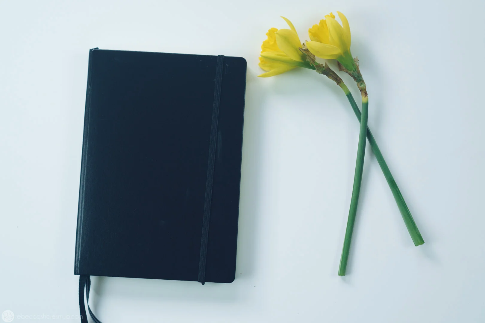 bullet-journal-intro-2.jpg
