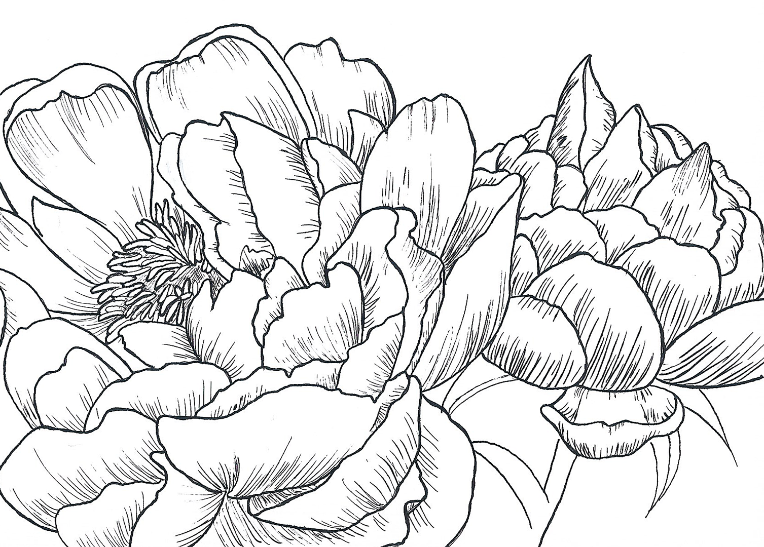 growing-scan.png