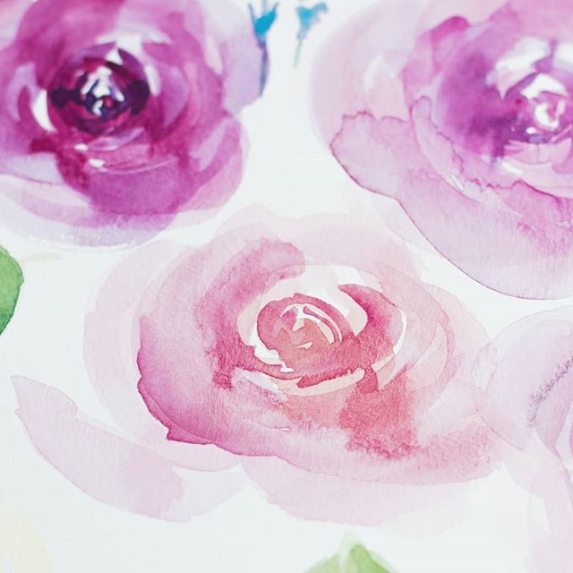 Who is your favorite Instagram account to follow?

Here are some loose watercolor roses. Still very out of my comfort zone, but I really enjoy how the looseness let's the colors shine.

@m.grahamco watercolors
@princetonbrush brushes

#illustrationgr