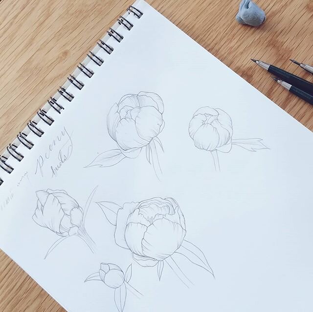 Practicing peony buds.

I love how these petals unfurl in swirling ovals. I think peonies are beautiful from their tight round buds all the way till they're overextended and faded blooms at the end of the life cycle.

I'm starting to have more modifi