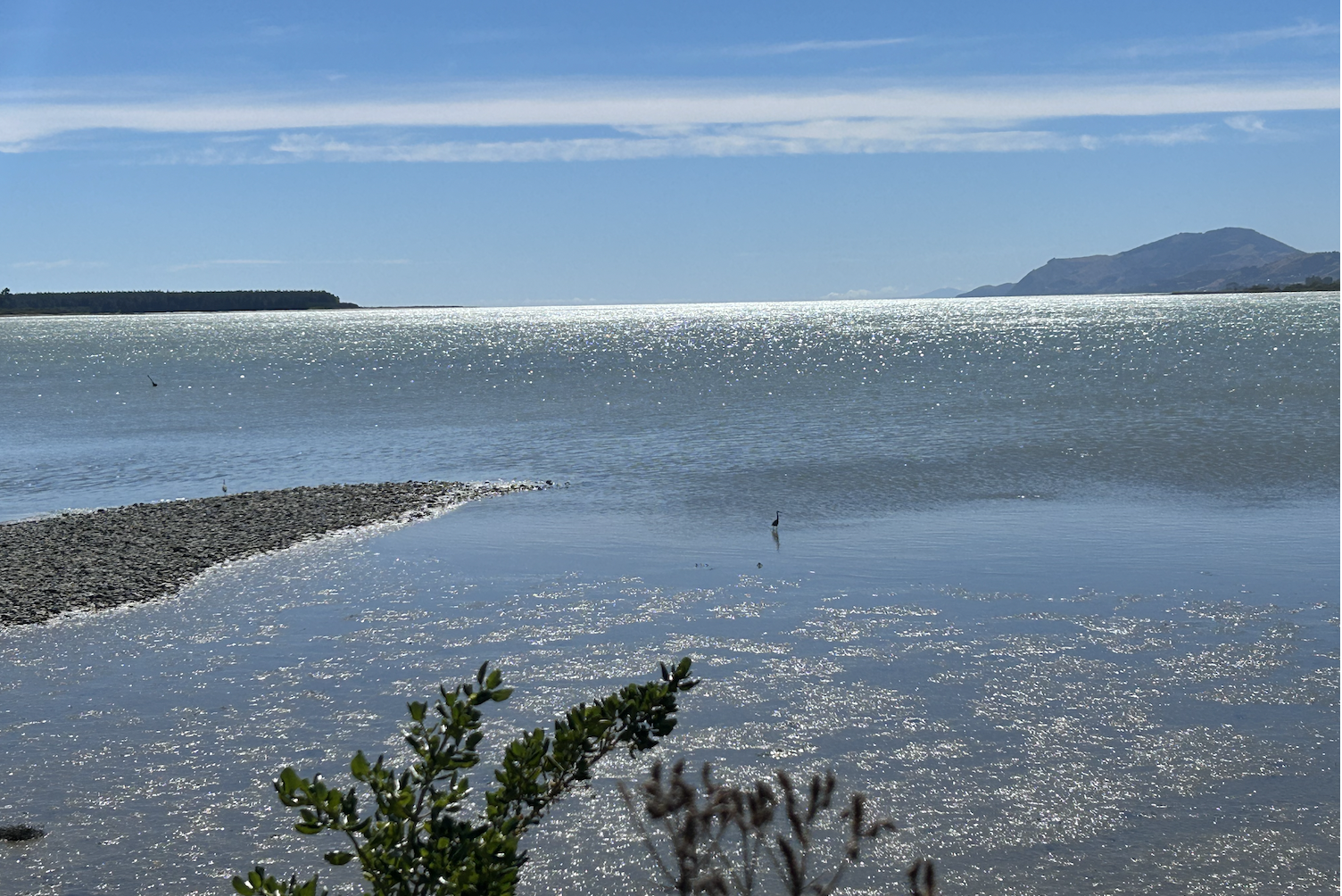 Stepping back isn’t a luxury — it’s a leadership necessity