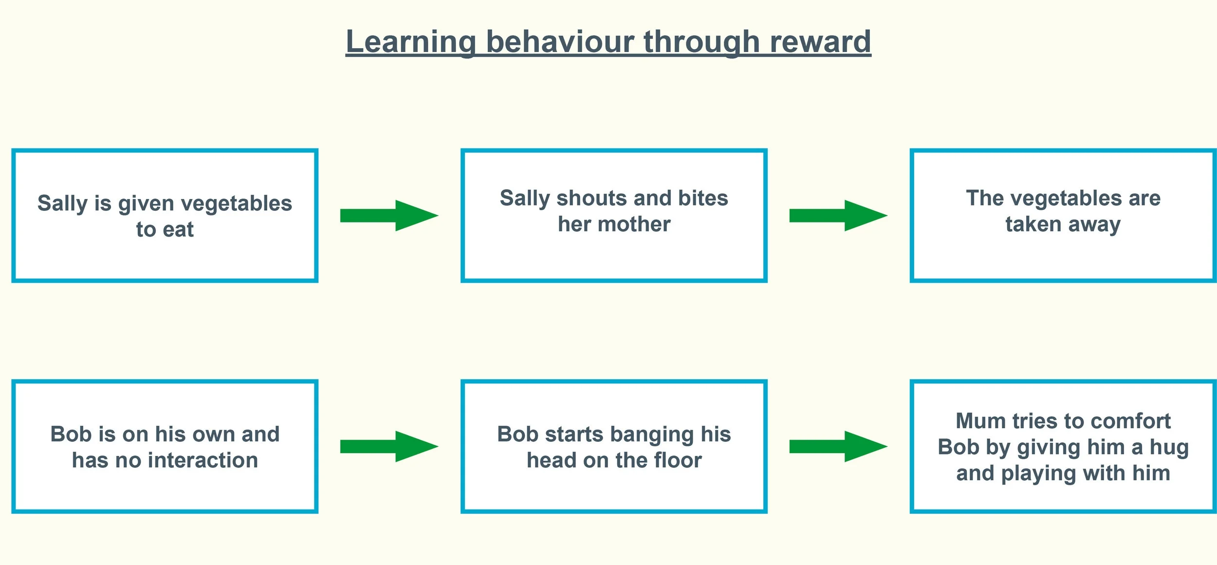 CAMHS_diagrams_2.jpg