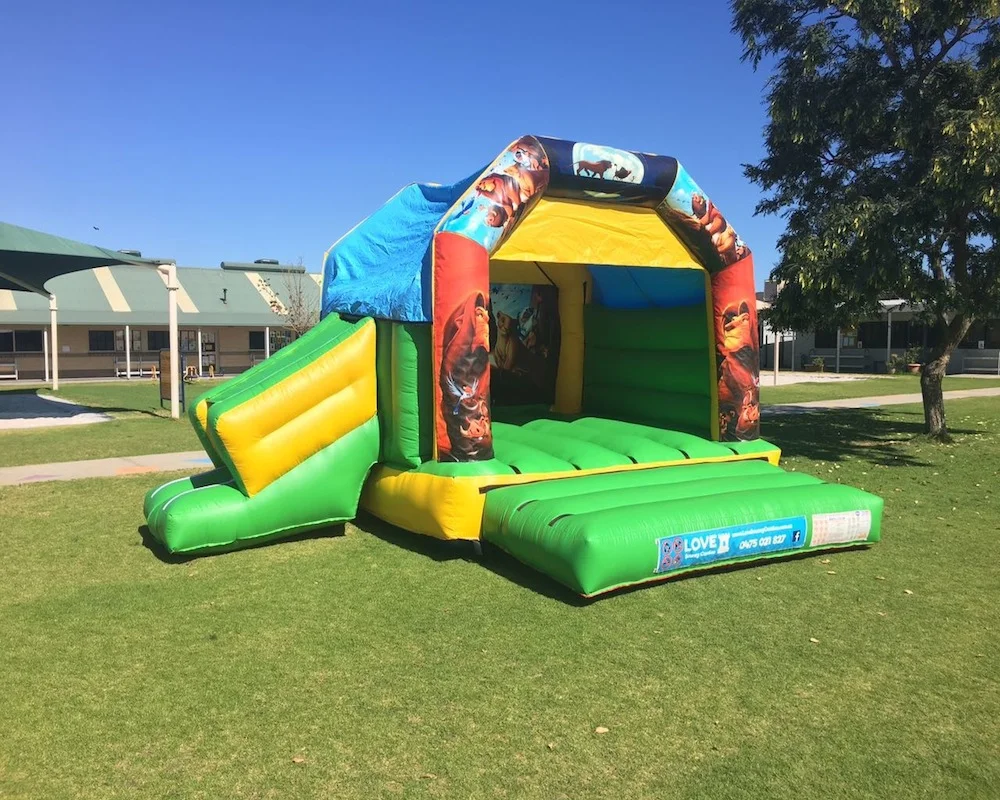 Lion King bouncy castle hire with slide Rockingham
