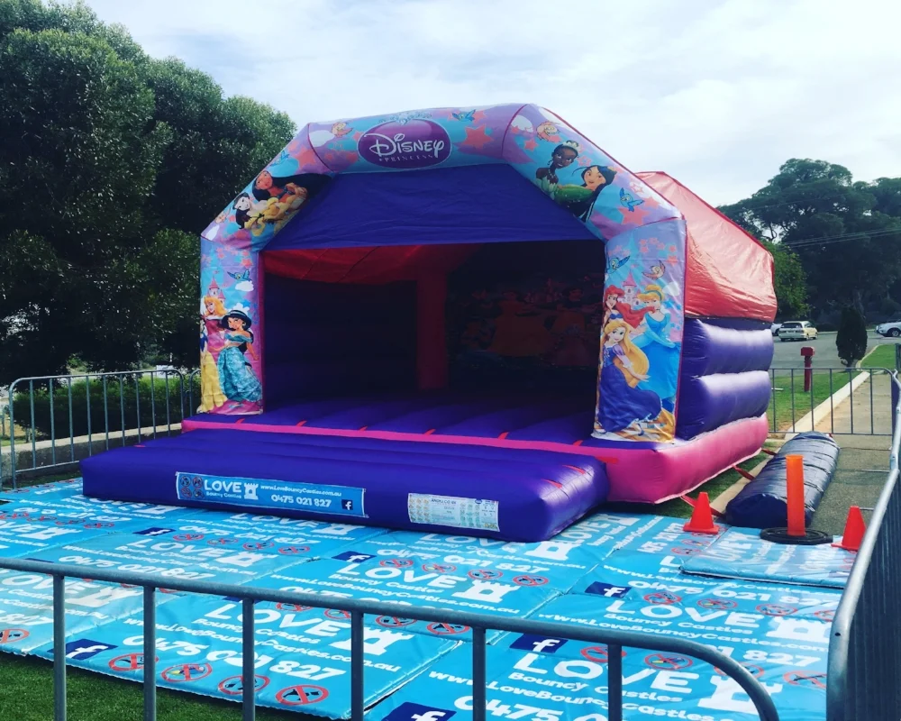 Large Princess Castle - Baldivis, 6171
