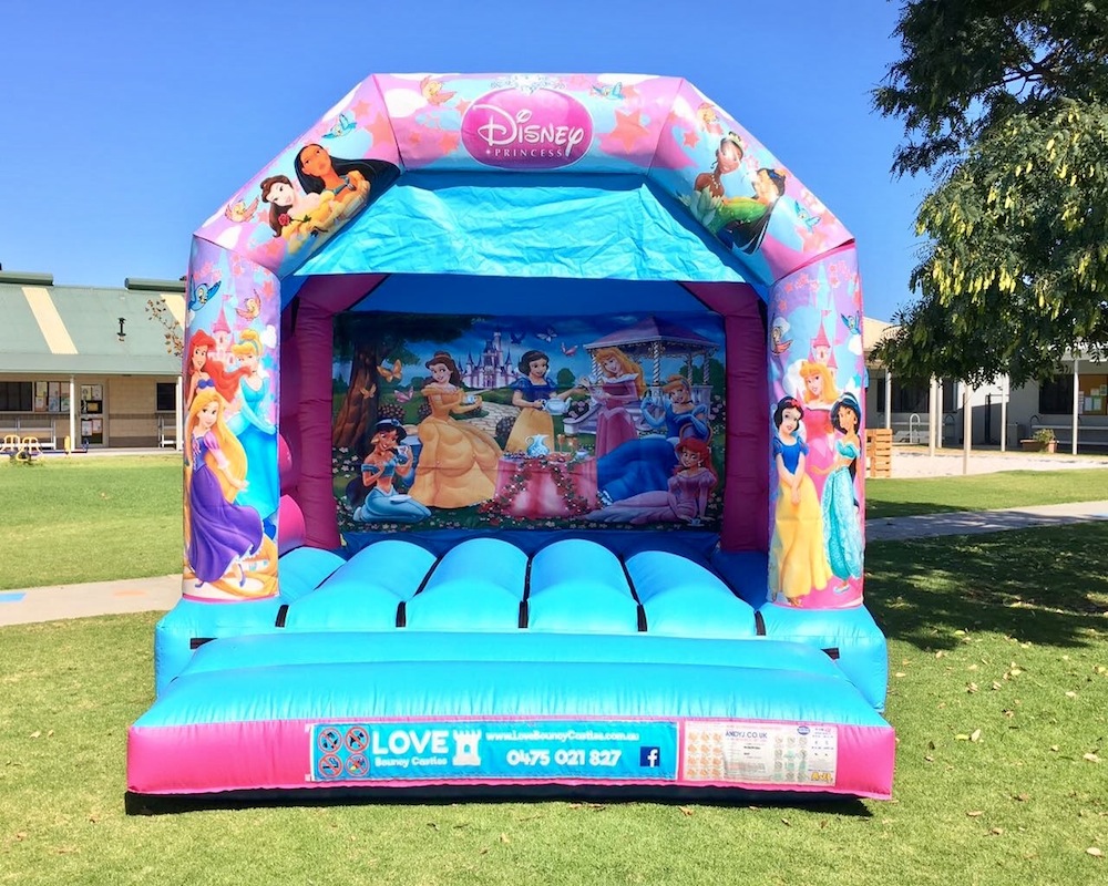 Copy of Princess jumping Castle