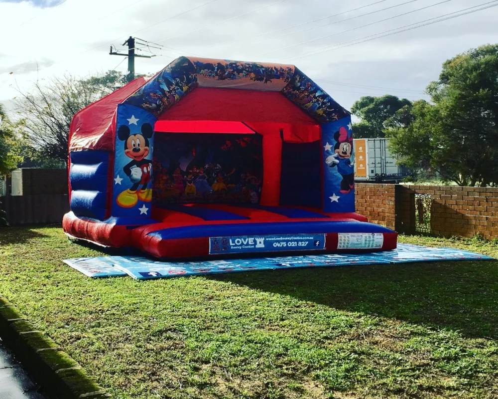 Disney Bouncy Castle Hire Ferndale, WA