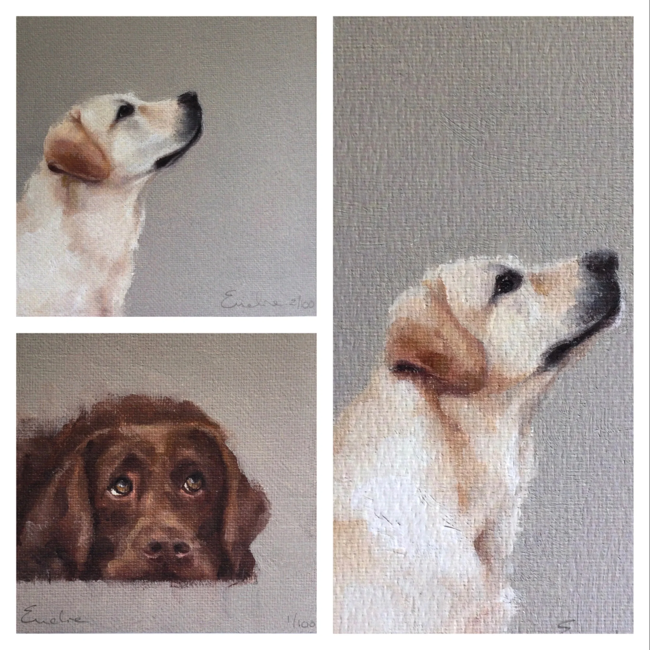 Greetings Cards - Labrador Pack