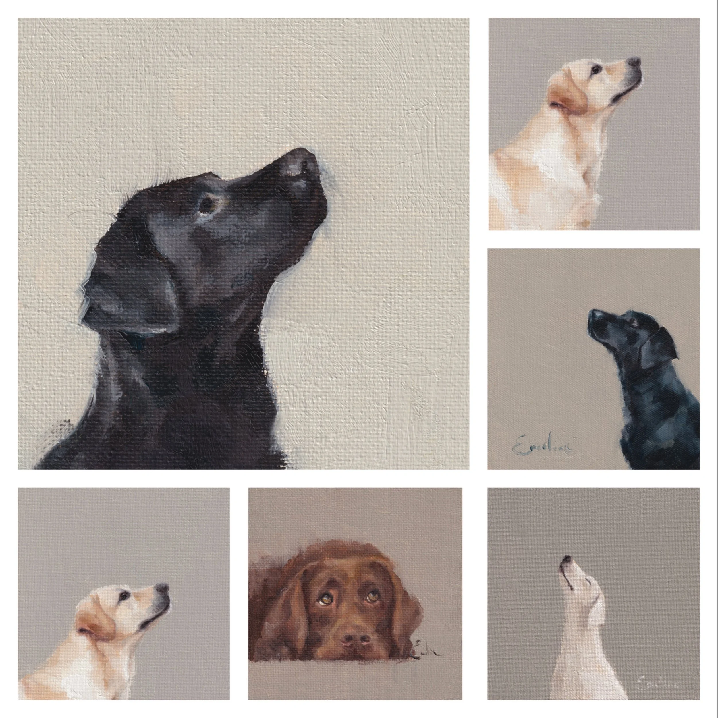 Greetings Cards - Labrador Love (Pack of 6)