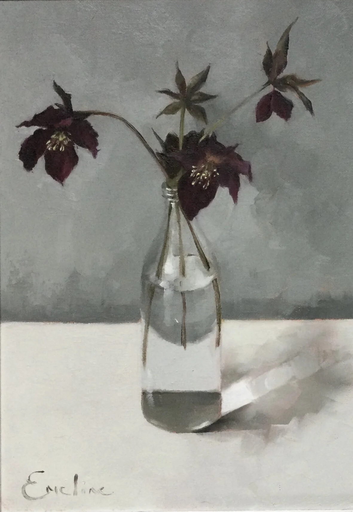 Greetings Card – Hellebores in the Studio