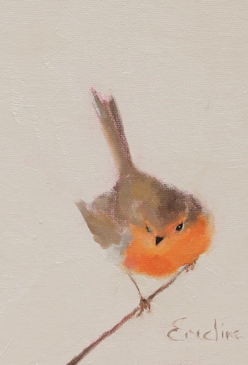 Greetings Cards - Little Robin