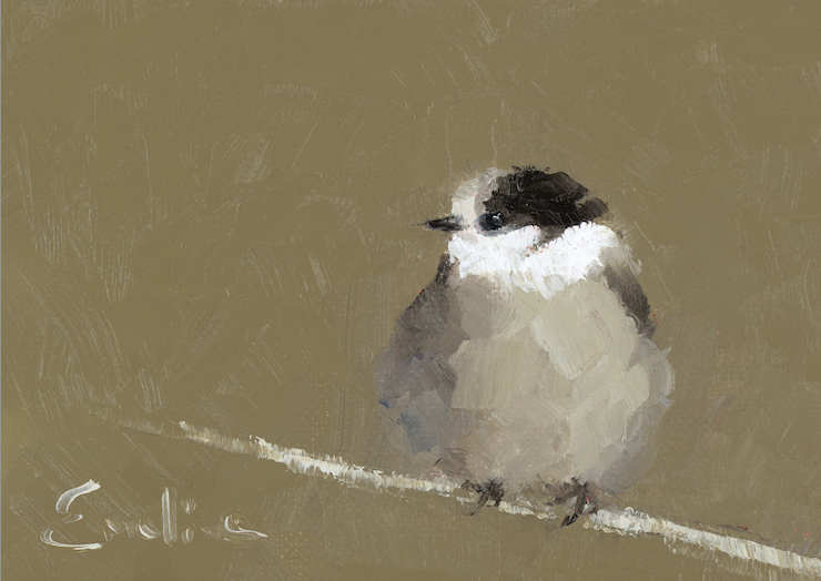 Screenshot BD003 Willow Tit 2025-05-20 at 14.28.04.png