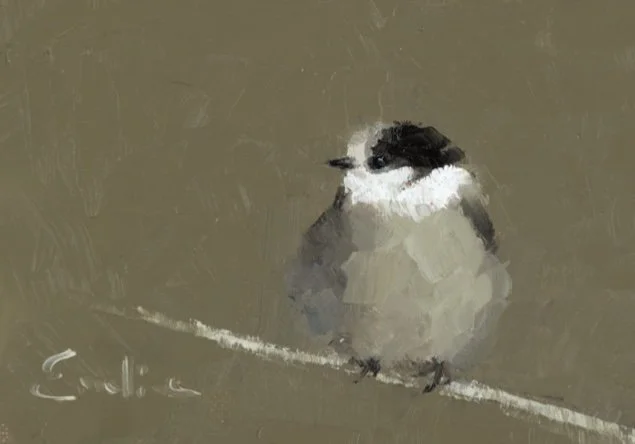 Greetings Card - Willow Tit