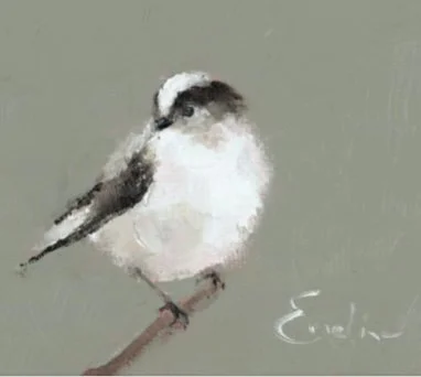 Greetings Card - Long Tailed Tit