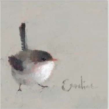 Greetings Card - Little Fairy Wren