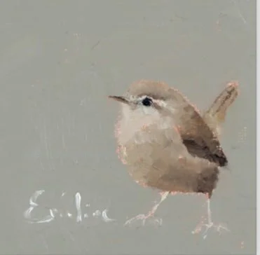 Greetings Card - Little Wren